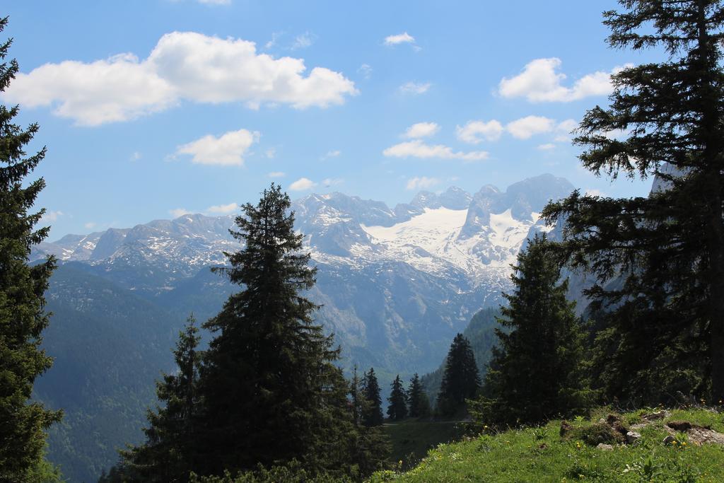 Salzburger Dolomitenhof Annaberg im Lammertal Esterno foto