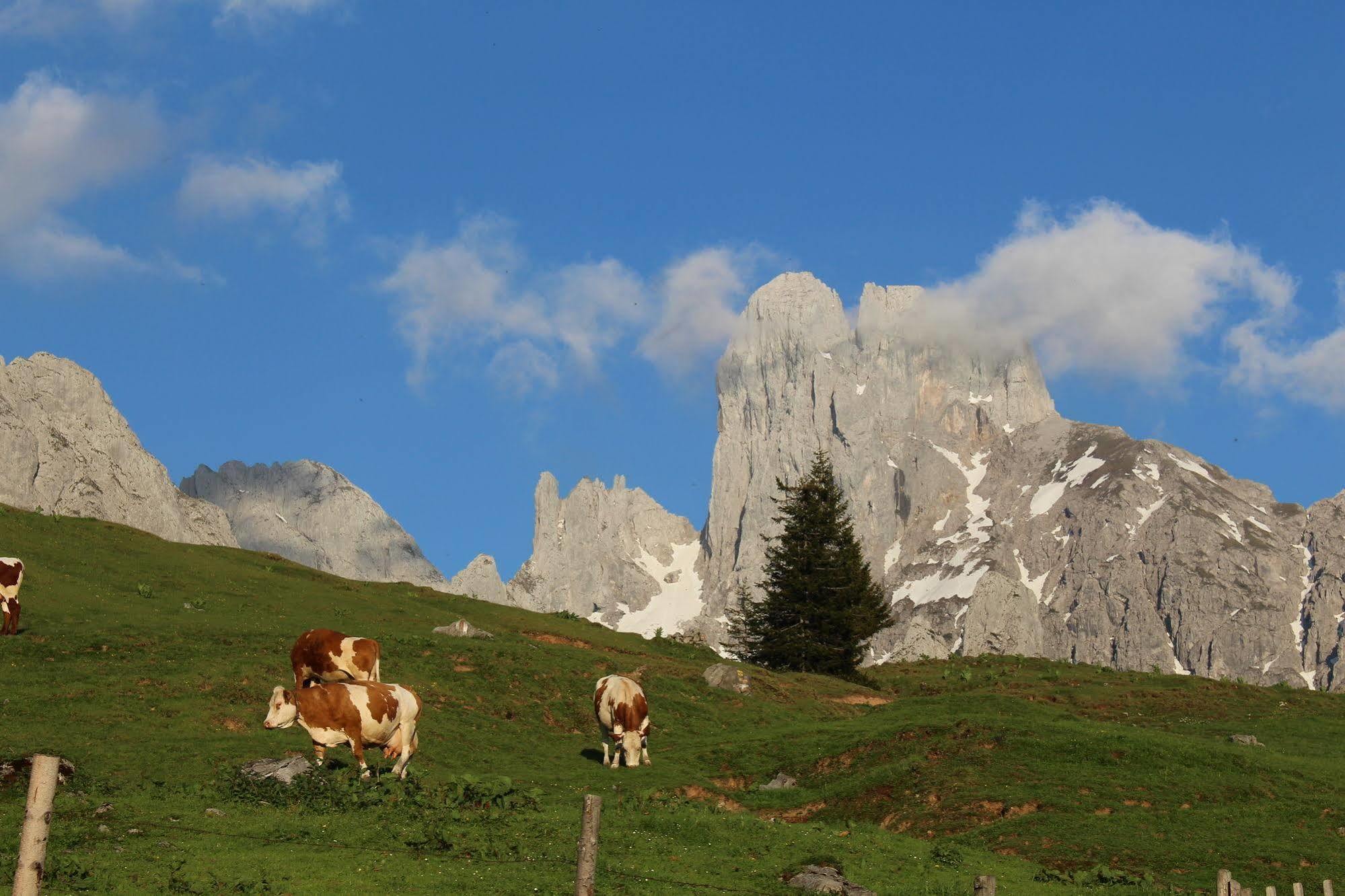 Salzburger Dolomitenhof Annaberg im Lammertal Esterno foto